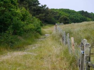 omgeving camping zeeman