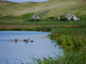 omgeving camping zeeman