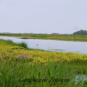omgeving camping zeeman