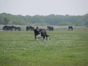 omgeving camping zeeman§§