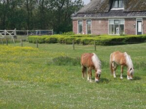 omgeving camping zeeman