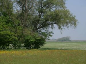 omgeving camping zeeman